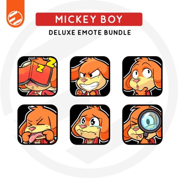 Mickey Boy